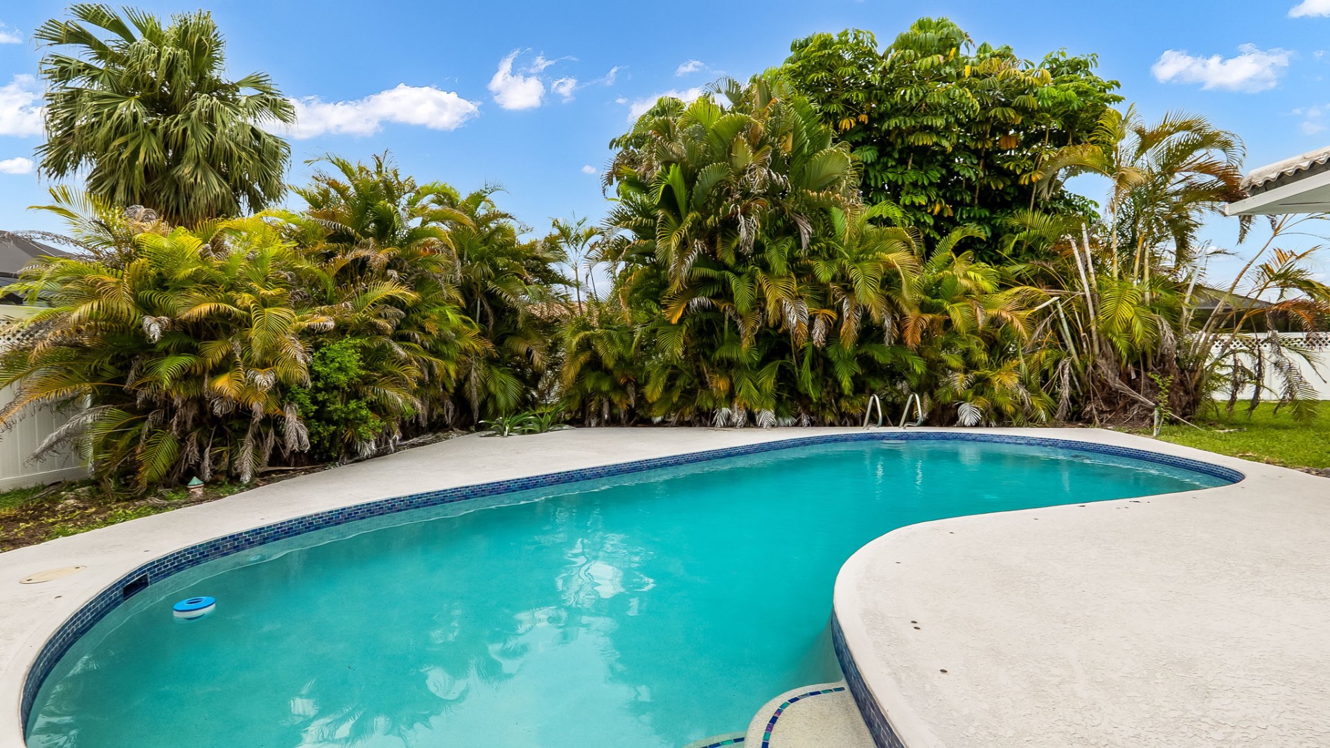 Tropical pool surrounded by lush palms